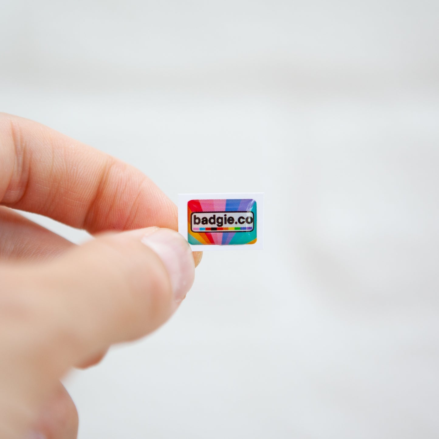Badgie Logo Sticker (Limited Edition) - Badgie