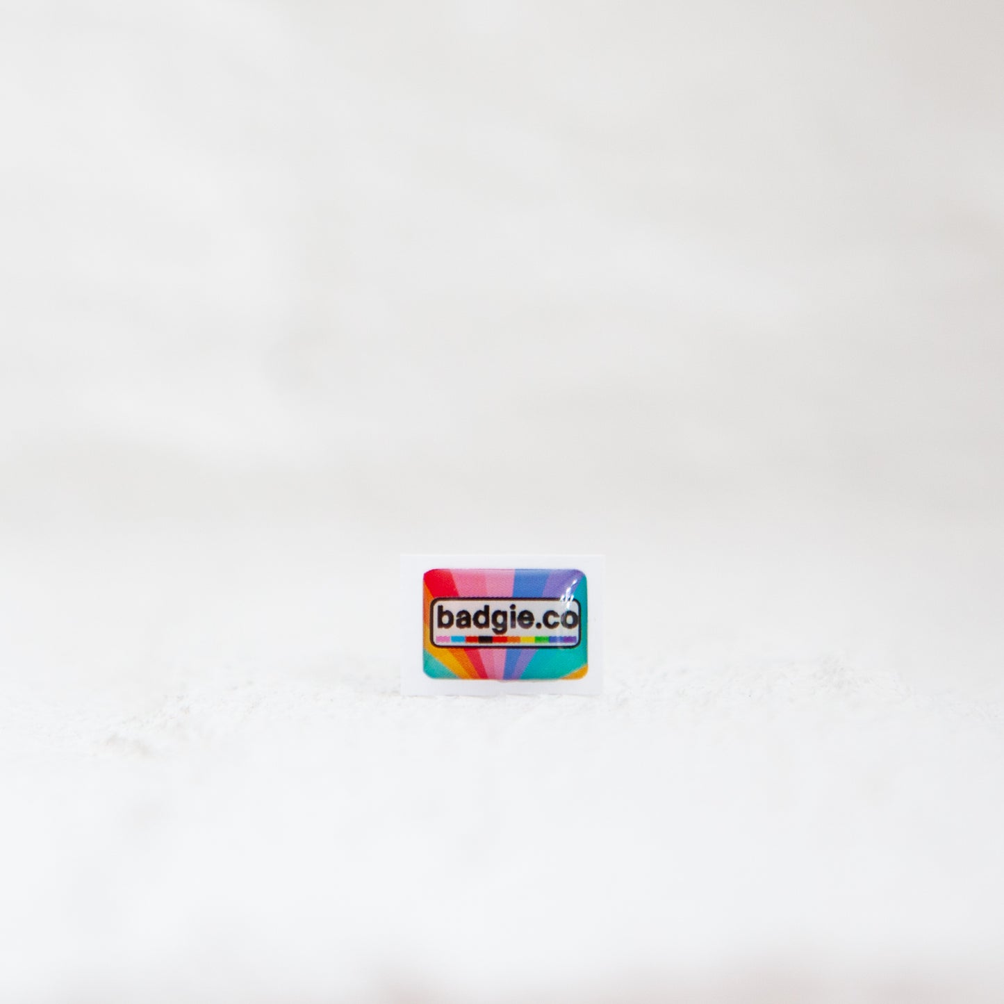Badgie Logo Sticker (Limited Edition) - Badgie