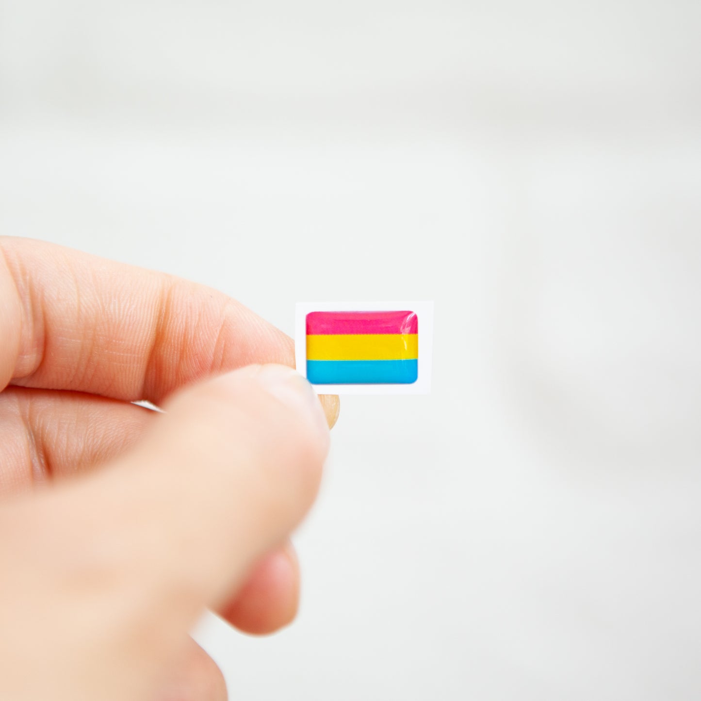 Badgie Pan Flag Sticker - Badgie