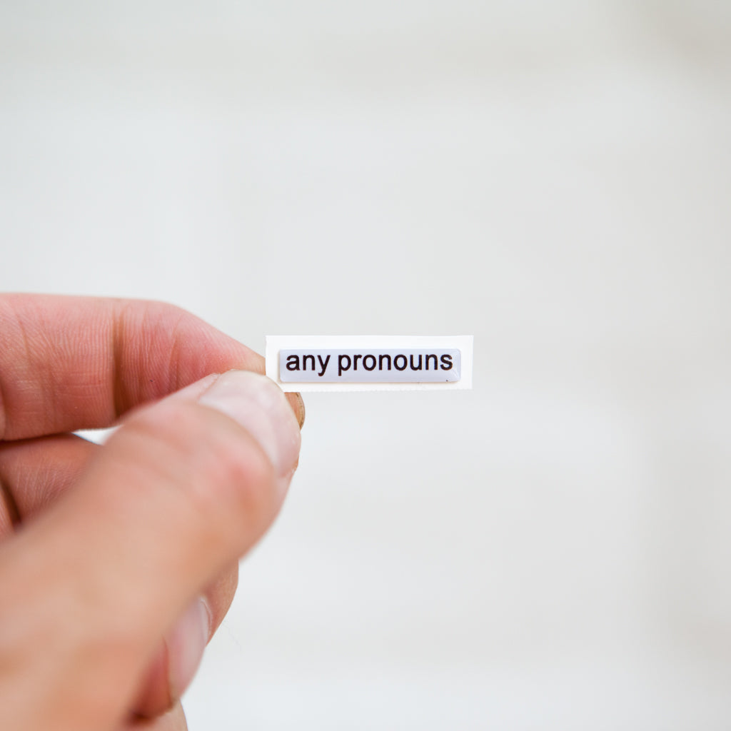 Badgie Pronouns Sticker - Badgie